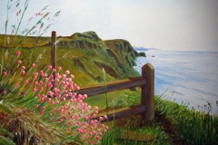 David-Donaldson-Pembrokeshire-Coastal-Path